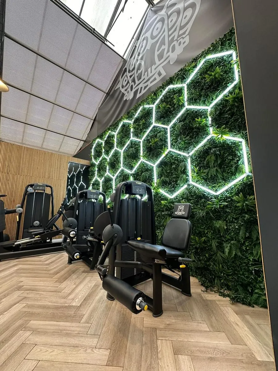 Krachtmachines voor de verlichte hexagon-muur